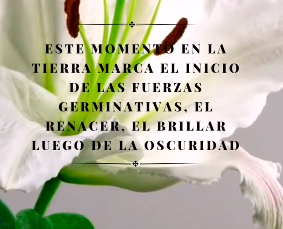 solomasajistas-cursos-y-talleres Mindfulness y meditación guiada