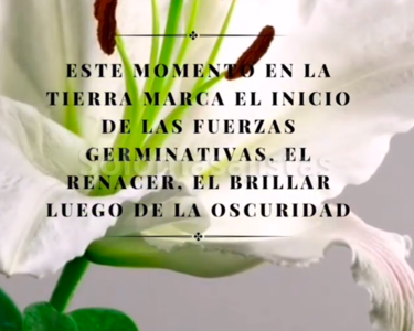 solomasajistas Cursos - Talleres Mindfulness y meditación guiada 618215758