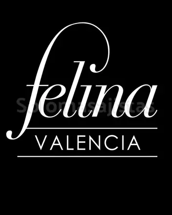 solomasajistas Masajes Eróticos							 Masajistas eróticas en Felina Valencia