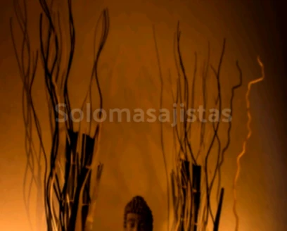 solomasajistas Masajistas                    Barcelona Masajes en profesional 602354034