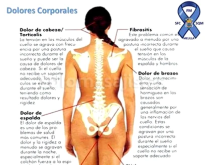 solomasajistas Masajistas                    Barcelona Quiromasaje para la salud de la mujer 617510477