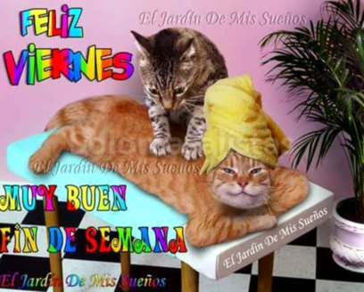 solomasajistas Terapias alternativas                     Única en fusión oriente occidente 651163912